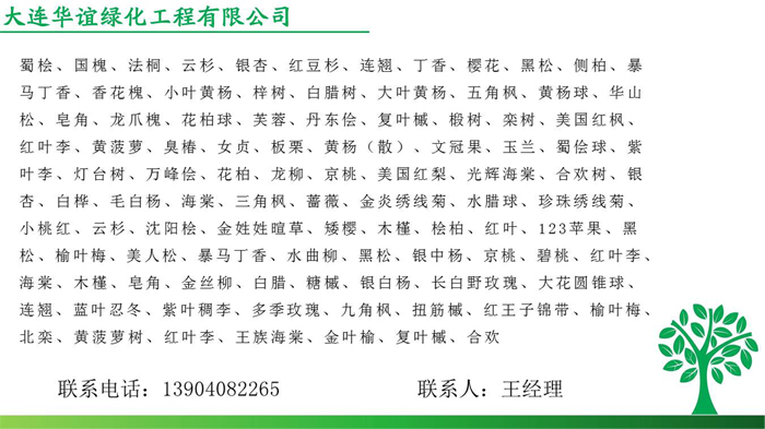綠化樹苗種類
